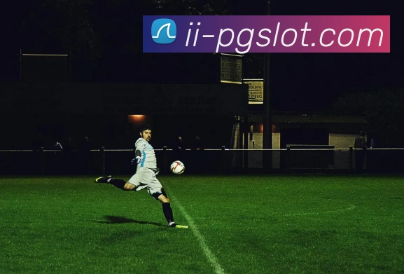 赏金女王官网平台生态图